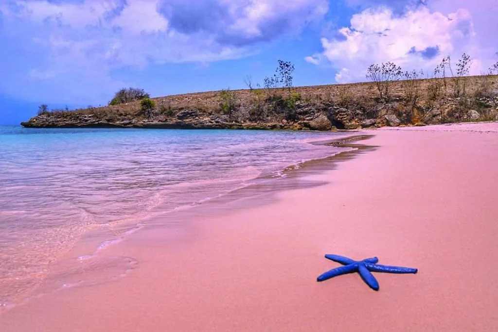 fenomena air laut pink Lombok
