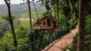 Wisata rumah pohon di lombok